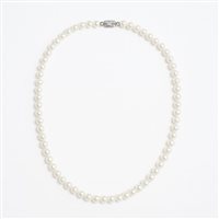 Necklace Idee Preziose dal 1987 Woman in Pearls Perla IP.CK18B/11P - IP.CK18B/11P